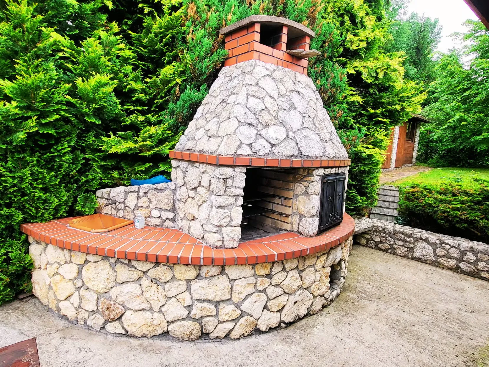 imgi_23_prywatne-leczenie-uzaleznien-grill-w-ogrodzie-AZYLVIP